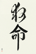 Japanese Calligraphy Art - Lifesaving (kyuumei) (VD6A)