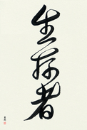 Japanese Calligraphy Art - Survivor (seizonsha) (VD2A)