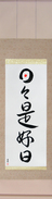 Japanese Hanging Scroll - Everyday is a good day (nichinichi kore koujitsu) (VD3A)