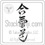 Aikido (aikidou) (VD6B)