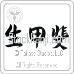 Reason For Being, Raison d'etre (ikigai) (HD2A)