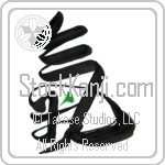 Spirit, Energy Flow (ki) (VD3B)