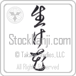 Flower Arrangement (ikebana) (VC2A)