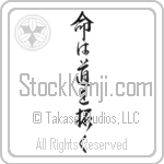 Life Will Find A Way (inochi wa michi wo hiraku) (VD6A)