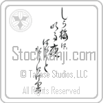 Buson - To white plum blossoms, Each night just dawning, Evermore (shiraume ni akuru yo bakari to nari ni keri) (VD6B)