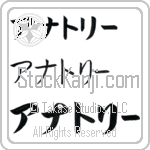 Anatoly (BA0313HKC)