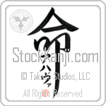 Ahava Is My Life (BA0337VKC_L5039VD5F)