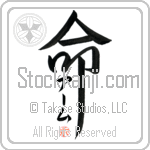 Aamu Is My Life (BA0946VKC_L5039VD5F)