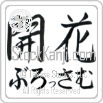 Blossom With Meaning Blossom (BB0102HHMH_F3018HS2A)