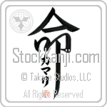 Camalee Is My Life (BC0334VKC_L5039VD5F)