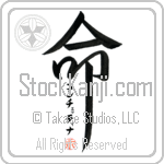 Concettina Is My Life (BC0814VKC_L5039VD5F)