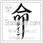 Dane Is My Life (BD0093VKC_L5039VD5F)