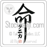 Danica Is My Life (BD0113VKC_L5039VD5F)