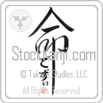 Desi Is My Life (BD0140VHC_L5039VD5C)