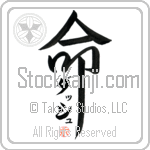 Dash Is My Life (BD0307VKC_L5039VD5F)