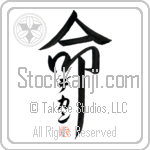 Dechen Is My Life (BD0337VKC_L5039VD5F)