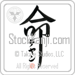 Dejan Is My Life (BD0348VKC_L5039VD5F)