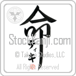 Diki Is My Life (BD0409VKC_L5039VD5F)