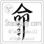 Divya Is My Life (BD0424VKC_L5039VD5F)