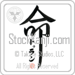 Duran Is My Life (BD0484VKC_L5039VD5F)