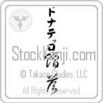 Donatello With Meaning Gift (BD0575VKLB_W5009VC3A)