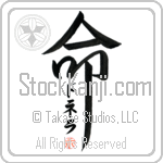 Donella Is My Life (BD0578VKC_L5039VD5F)