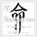 Fox Is My Life (BF0102VKC_L5039VD5F)