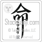 The Fumagalli Family Is My Life (BF0248VKC_L5039VD5Z)