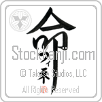 Fiene Is My Life (BF0278VKC_L5039VD5F)