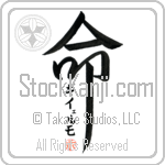 Guillermo Is My Life (BG0042VKC_L5039VD5F)