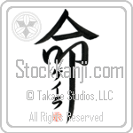 Gayla Is My Life (BG0044VKC_L5039VD5F)