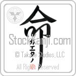 Gaetano Is My Life (BG0212VKC_L5039VD5F)