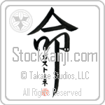 Gastone Is My Life (BG0236VKC_L5039VD5F)