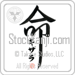 Ghizala Is My Life (BG0283VKC_L5039VD5F)