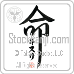 Gisli Is My Life (BG0323VKC_L5039VD5F)