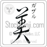 Ghazal With Meaning Beautiful (BG0400VKSC_P5001VD2A)