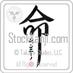 Giannino Is My Life (BG0418VKC_L5039VD5F)