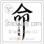 Hollis Is My Life (BH0049VKC_L5039VD5F)