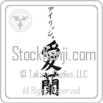 Irish With Meaning Ireland (BI0056VKSB_G3006VB2B)