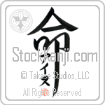 Ice Is My Life (BI0109VKC_L5039VD5F)