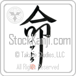 Isidra Is My Life (BI0172VKC_L5039VD5F)