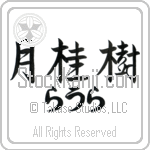 Laura With Meaning Laurel (BL0270HHLH_N4049HS3A)