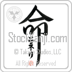 Nineli Is My Life (BN0187VKC_L5039VD5F)
