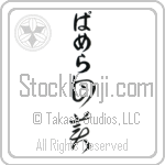 Pamela With Meaning Sweet (BP0001VHLB_P4054VC2A)