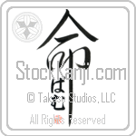 Pam Is My Life (BP0014VHC_L5039VD5C)