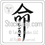 Pinkas Is My Life (BP0134VKC_L5039VD5F)