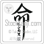 The Pinkas Family Is My Life (BP0134VKC_L5039VD5Z)