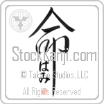 Pammi Is My Life (BP0154VHC_L5039VD5C)