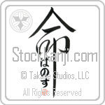 Panos Is My Life (BP0159VHC_L5039VD5C)