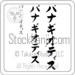 Panagiotis (BP0282VKC)